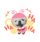ゆじゅこの挨拶✩.*˚（個別スタンプ：8）