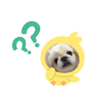 ゆじゅこの挨拶✩.*˚（個別スタンプ：9）