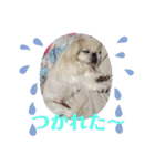 ゆじゅこの挨拶✩.*˚（個別スタンプ：14）