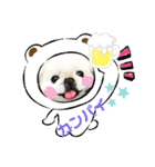 ゆじゅこの挨拶✩.*˚（個別スタンプ：16）