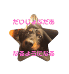 虎之介カーニバル（個別スタンプ：1）