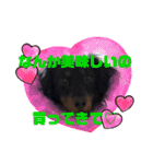 虎之介カーニバル（個別スタンプ：5）