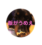 虎之介カーニバル（個別スタンプ：21）