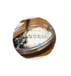某緑色のレストランのコーヒーゼリー（個別スタンプ：8）