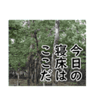 水陸両用イケチャンスタンプ（個別スタンプ：40）