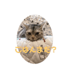 大好き！ココちゃん（個別スタンプ：4）
