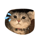 大好き！ココちゃん（個別スタンプ：13）