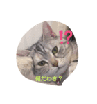 大好き！ココちゃん（個別スタンプ：14）