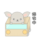 チンチラの可愛いスタンプ（個別スタンプ：9）