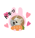 我が家のキュートくん！ 5（個別スタンプ：2）