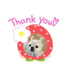 我が家のキュートくん！ 5（個別スタンプ：3）