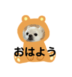 我が家のキュートくん！ 5（個別スタンプ：4）