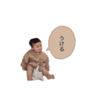 1 6 stmp（個別スタンプ：3）