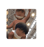YAMANES LIFE DX（個別スタンプ：5）