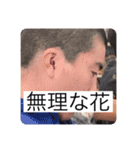 YAMANES LIFE DX（個別スタンプ：12）