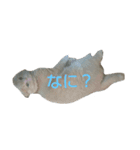 まろたのすたんぷ（個別スタンプ：4）