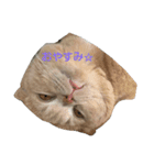 まろたのすたんぷ（個別スタンプ：5）