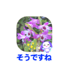 優しいウサギの妖精と花（個別スタンプ：5）