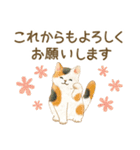 使いやすい☆猫たちのスタンプ 4（個別スタンプ：3）