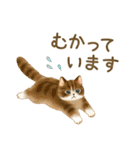 使いやすい☆猫たちのスタンプ 4（個別スタンプ：25）