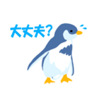 ペンギン コタッペの毎日使える日常会話（個別スタンプ：21）