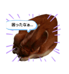 うさぎのmiyちゃん（個別スタンプ：1）