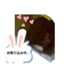 うさぎのmiyちゃん（個別スタンプ：2）