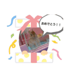 うさぎのmiyちゃん（個別スタンプ：14）