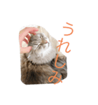 ポール＆マロン（個別スタンプ：1）