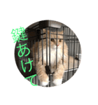 ポール＆マロン（個別スタンプ：5）