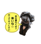 プー太郎の日常（個別スタンプ：2）
