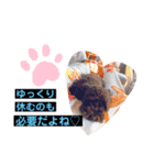 プー太郎の日常（個別スタンプ：4）