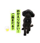 プー太郎の日常（個別スタンプ：5）