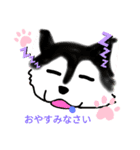 Mr dog（個別スタンプ：5）
