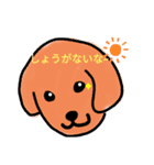 Mr dog（個別スタンプ：8）