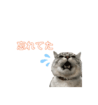 かまねこほだ（個別スタンプ：2）