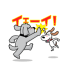 アウトドアドッグフェスタ日常会話スタンプ（個別スタンプ：19）