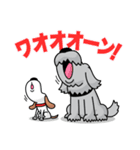 アウトドアドッグフェスタ日常会話スタンプ（個別スタンプ：31）
