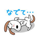 アウトドアドッグフェスタ日常会話スタンプ（個別スタンプ：34）