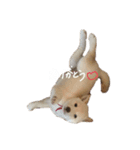 あんとこゆき4（個別スタンプ：11）