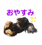 名犬オルガ（個別スタンプ：3）