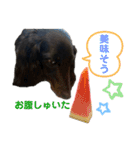 名犬オルガ（個別スタンプ：8）