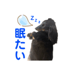 名犬オルガ（個別スタンプ：9）