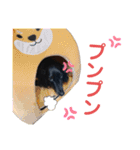 名犬オルガ（個別スタンプ：13）