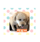 ももんがモコその3（個別スタンプ：7）