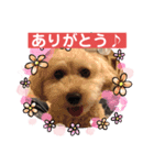 ももんがモコその3（個別スタンプ：12）
