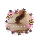 それいけキキさん（個別スタンプ：6）