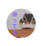 それいけキキさん（個別スタンプ：12）