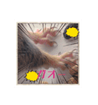 それいけキキさん（個別スタンプ：15）