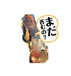 ひかりちゃんパロディスタンプ 1（個別スタンプ：14）